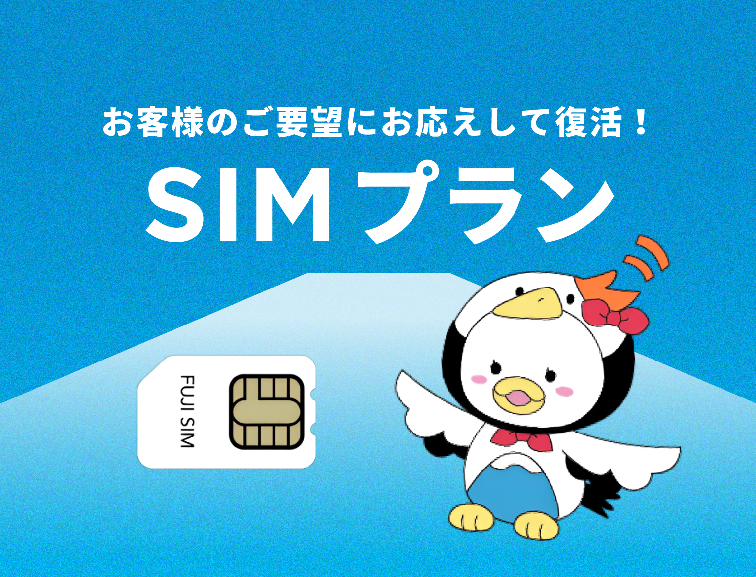 SIMプラン お客様のご要望にお応えして復活!
